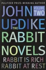 book cover of Rabbit Omnibus: "Rabbit Run", "Rabbit Redux" and "Rabbit Is Rich" by جون أبدايك