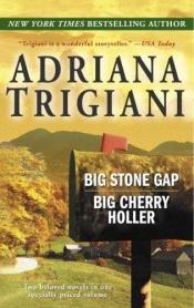 book cover of Big Stone Gap Big Cherry Holler by Adriana Trigiani