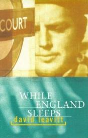 book cover of Terwijl Engeland slaapt by David Leavitt