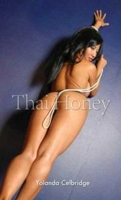 book cover of Thai Honey by Yolanda Celbridge