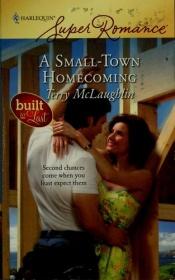 book cover of A Small-Town Homecoming (Larger Print Harlequin Super Romance: Built to Last) by Terry McLaughlin