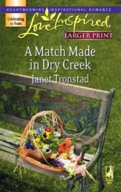 book cover of A Match Made in Dry Creek by Janet Tronstad