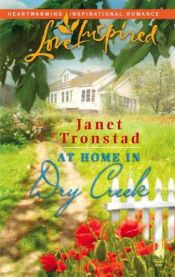 book cover of At Home in Dry Creek (Dry Creek Series #9) (Love Inspired #371) by Janet Tronstad