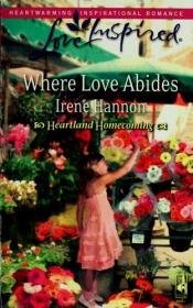 book cover of Where Love Abides - Heartland Homecoming by Irene Hannon