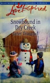 book cover of Snowbound in Dry Creek (Dry Creek Series #14) (Larger Print Love Inspired #465) by Janet Tronstad