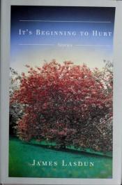 book cover of It's Beginning To Hurt by James Lasdun