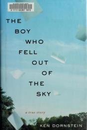 book cover of The Boy Who Fell Out of the Sky by Ken Dornstein