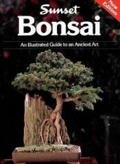 book cover of Bonsai by Sunset