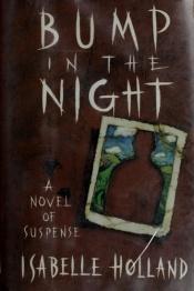 book cover of Bump in the Night by Isabelle Holland