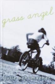 book cover of Grass Angel by Julie Schumacher