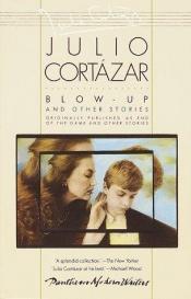 book cover of Blow Up by Julio Cortazar