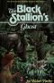 The Black Stallion's Ghost (Black Stallion - Book 15)