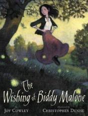 book cover of The wishing of Biddy Malone by Joy Cowley