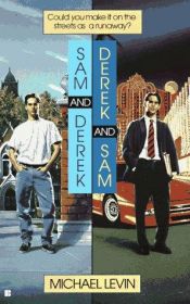 book cover of Sam and Derek, Derek and Sam by Michael Levin