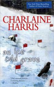 book cover of An Ice Cold Grave by 莎莲·哈里斯
