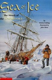 book cover of Sea of Ice: The Wreck of the Endurance by Monica Kulling