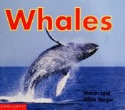 book cover of Whales by Melvin Berger