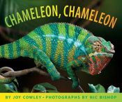 book cover of Chameleon! by Joy Cowley