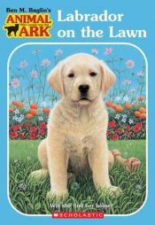 book cover of Labrador on the Lawn | Animal Ark | Holiday (1) | 38 by Ben M. Baglio