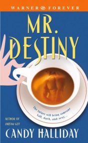 book cover of Mr. Destiny (Warner Forever) by Candy Halliday