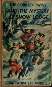 book cover of Bobbsey Twins 00: At Snow Lodge (Bobbsey Twins) by Laura Lee Hope