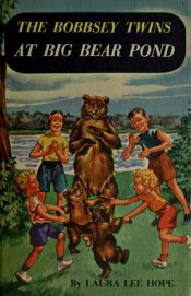 book cover of The Bobbsey twins at Big Bear Pond by Laura Lee Hope