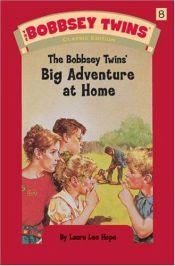 book cover of The Bobbsey Twins' Big Adventure at Home (Bobbsey Twins, No 8) by Laura Lee Hope