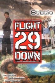 book cover of Static #1 (Flight 29 Down) by Ruth Birmingham