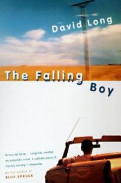 book cover of The Falling Boy by David Long