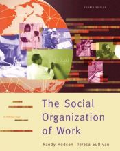 book cover of The Social Organization of Work by Randy Hodson