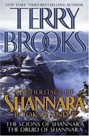 book cover of The Druid of Shannara by Terry Brooks