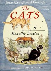 book cover of The cats of Roxville Station by Jean Craighead George