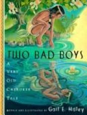 book cover of Two Bad Boys: A Very Old Cherokee Tale by Anonymous