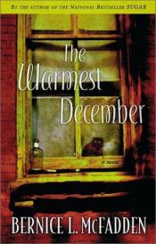 book cover of The warmest December by Bernice L. McFadden