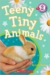 book cover of Teeny Tiny Animals by Lexi Ryals