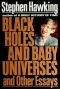 Črne luknje in otroška vesolja