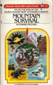 book cover of Mountain Survival (Choose your own adventure 28) by Edward Packard