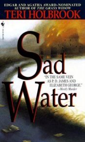 book cover of Stille wateren (Sad Water) by Teri Holbrook