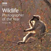 book cover of Wildlife Photographer of the Year: Portfolio 16 by BBC