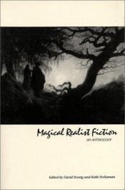 book cover of Magical Realist Fiction by David Young