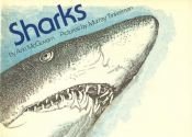 book cover of Sharks by Ann Mcgovern