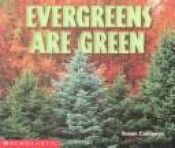 book cover of Evergreens Are Green by Susan Canizares