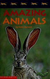 book cover of Amazing Animals by Betsy Franco