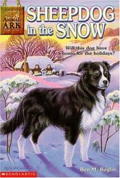 book cover of Sheepdog in the Snow | Animal Ark Series | 7 by Ben M. Baglio