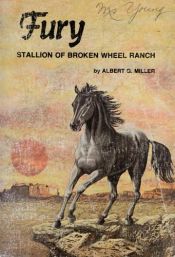 book cover of Fury, stallion of Broken Wheel Ranch by Albert G Miller