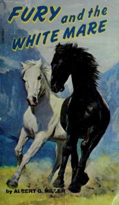 book cover of FURY. Und dann kam der Blizzard (Bd. 4) by Albert G Miller