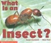 book cover of What Is an Insect by Susan Canizares