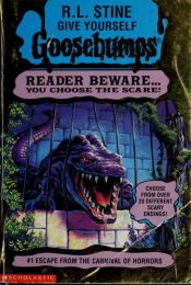 book cover of Der Anhalter by R. L. Stine
