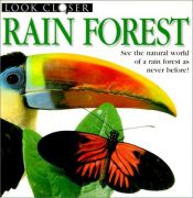 book cover of Rain Forest by Barbara Taylor