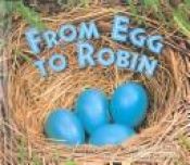 book cover of From Egg to Robin (Science Emergent Readers) by Susan Canizares